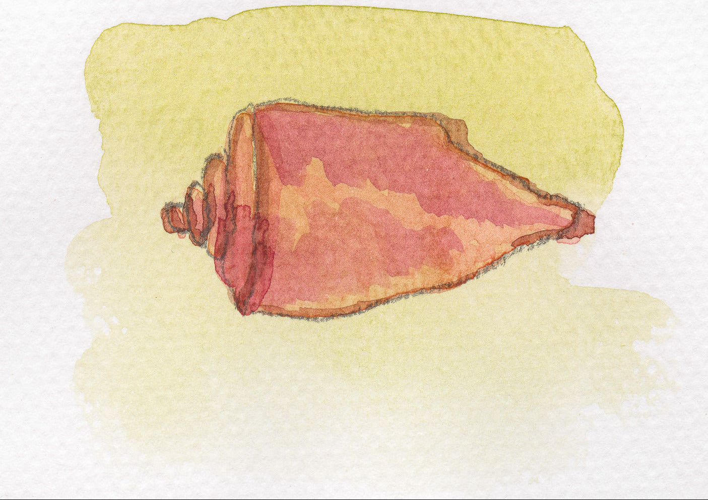 Framed Shell, 8