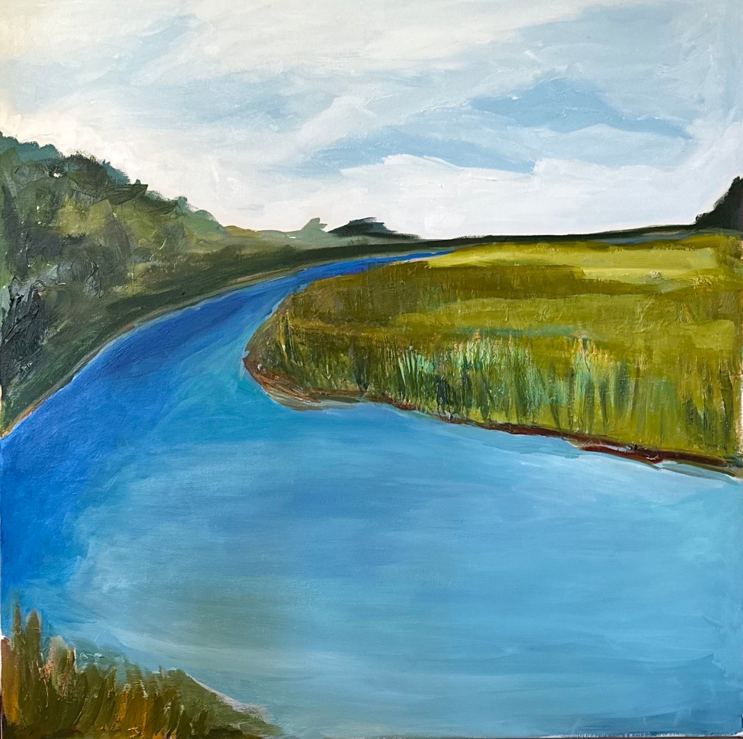 South Carolina Marsh