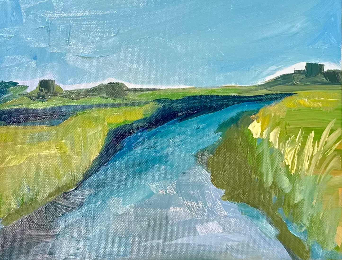 South Carolina Marsh