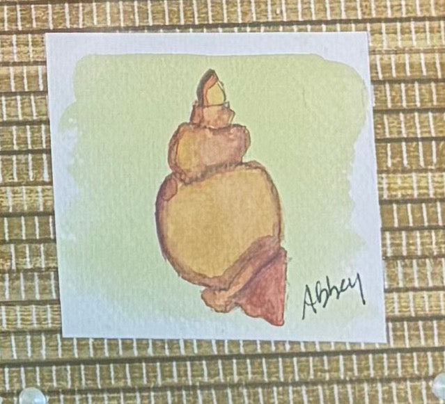 Framed Shell, 5