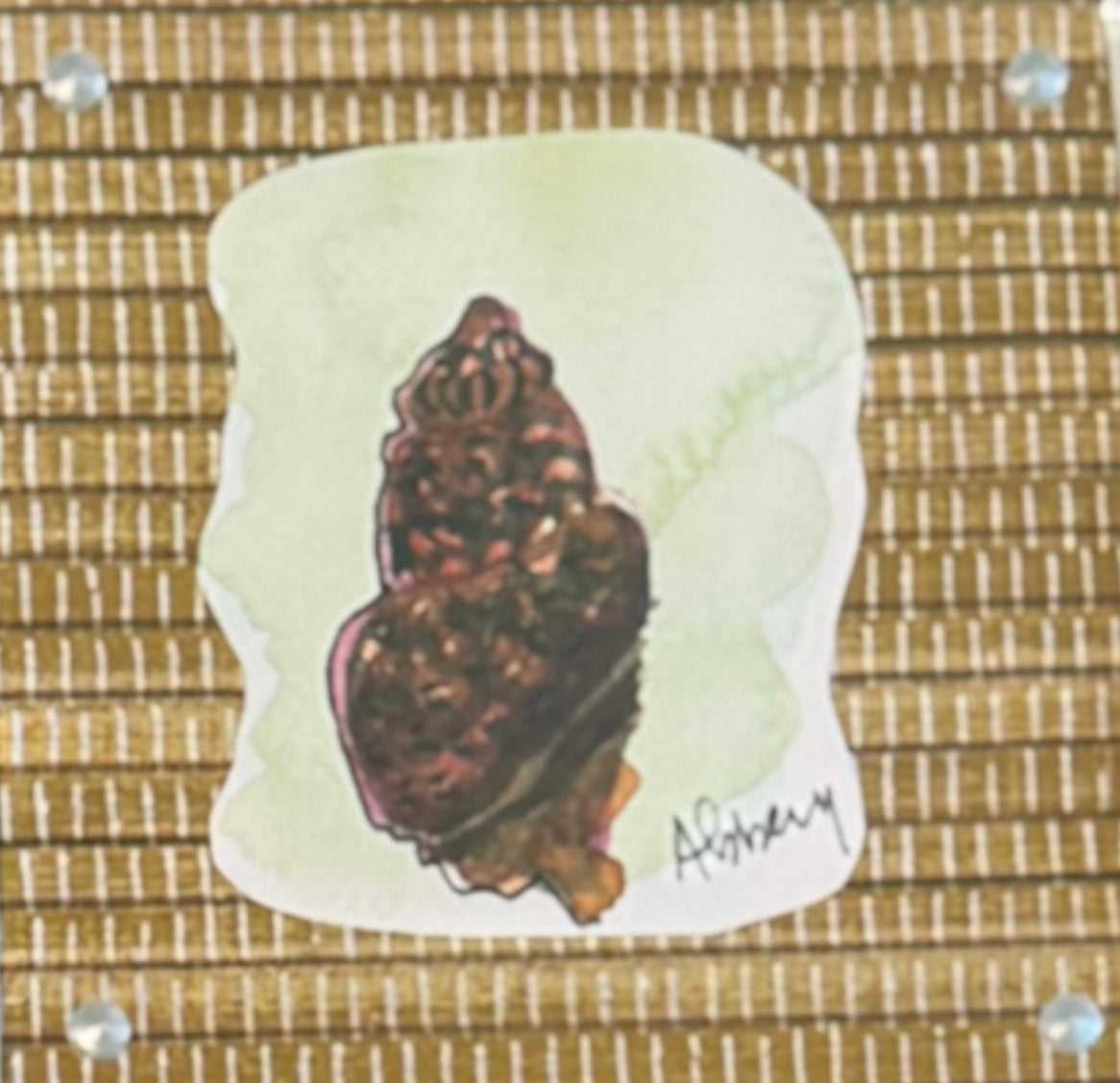 Framed Shell, 5