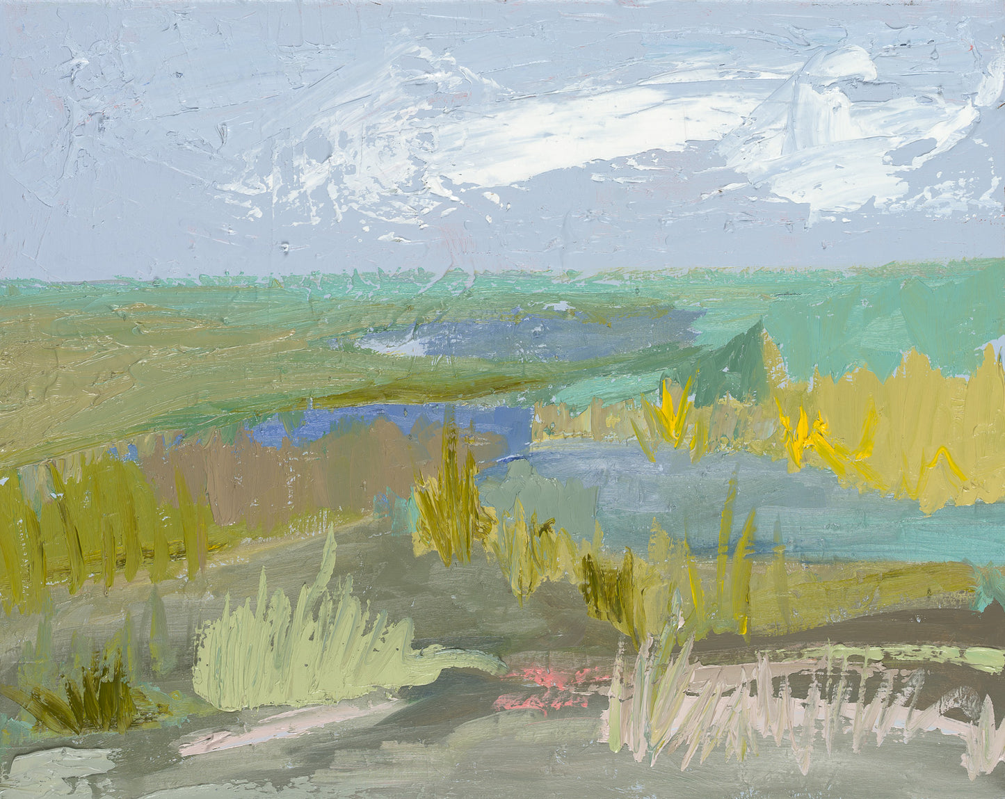 Lowcountry View
